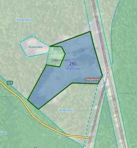 current gallery thumbnail